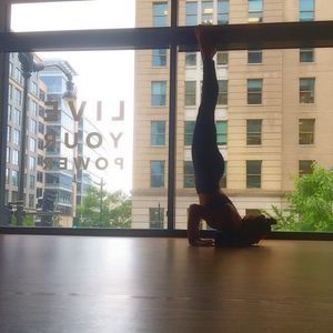 Meet your Posher, Tara